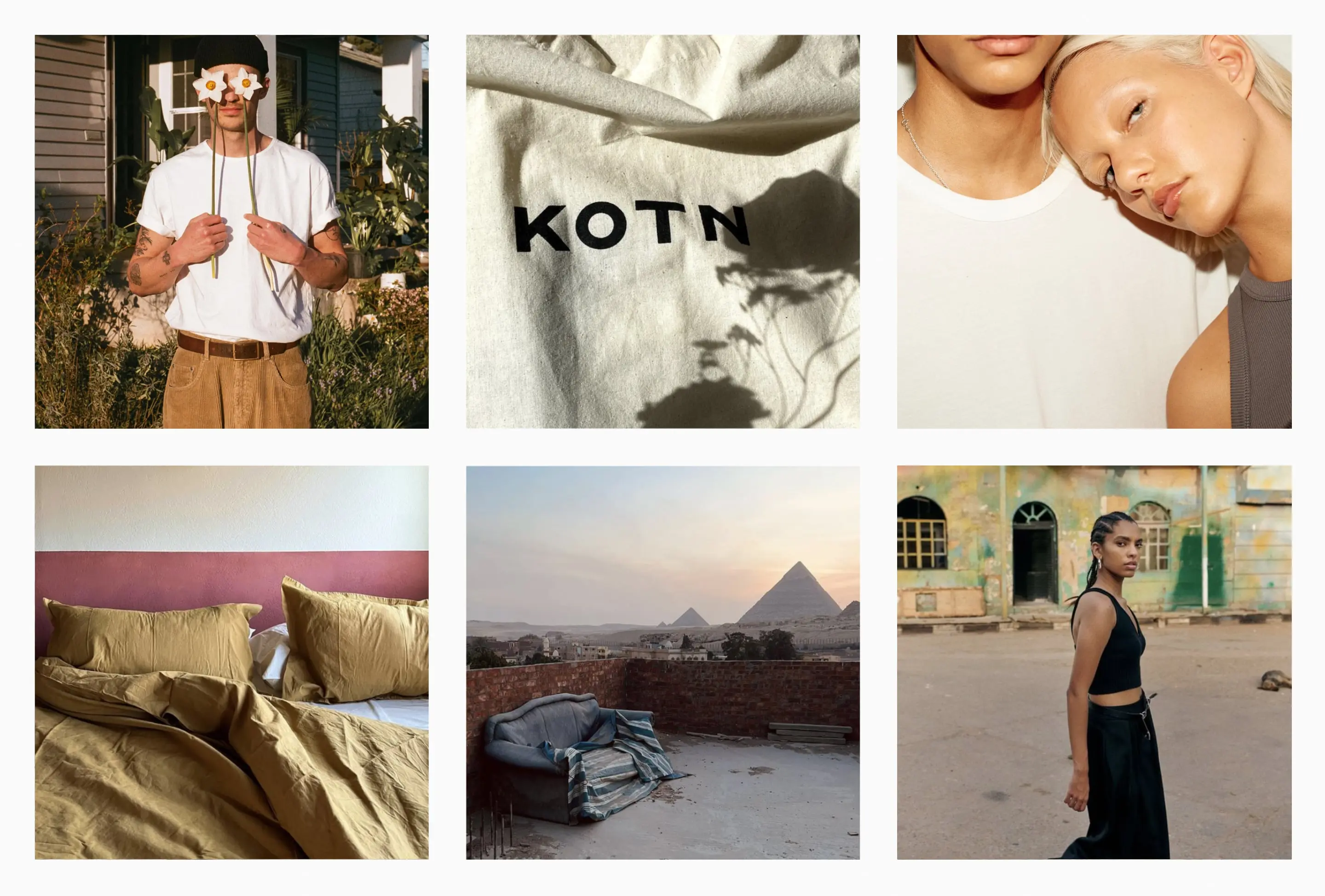 It's All Boardrooms and Parties for KOTN